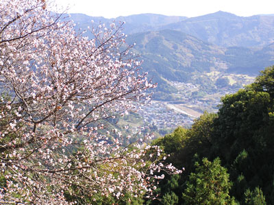 ���R����