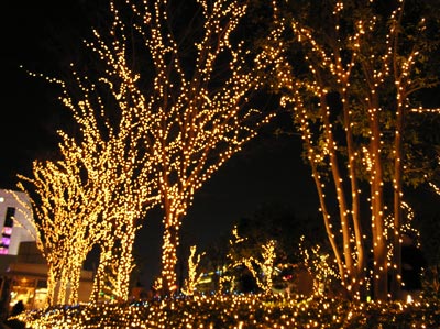 �V�h�w���