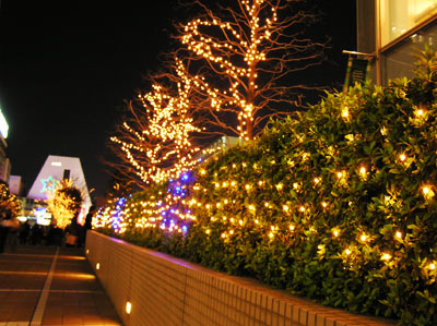 �V�h�w���