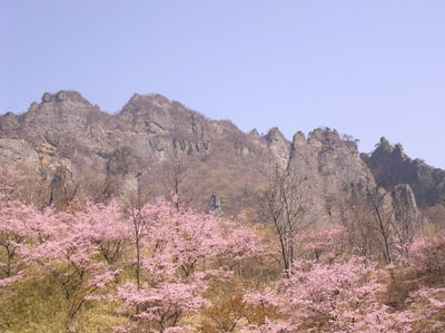 ������̗�