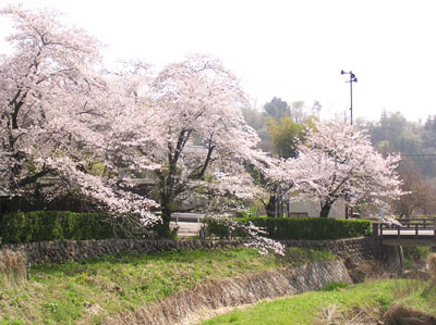 �������Ê�