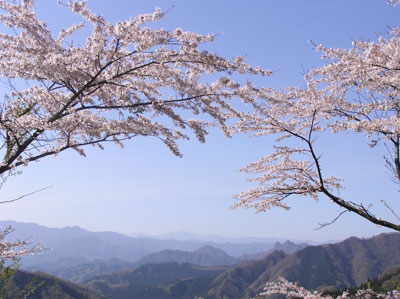 ������̗�