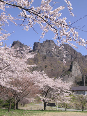 ���V�ԑ�񒓎ԏ�