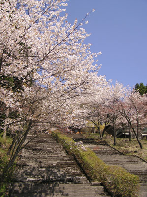 ������̗�