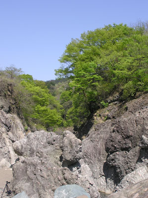 �͂˂�����