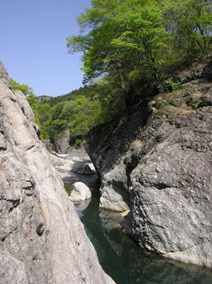 �͂˂�����