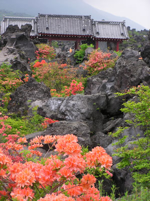 �S�����o����