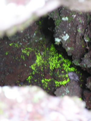 �S�����o����