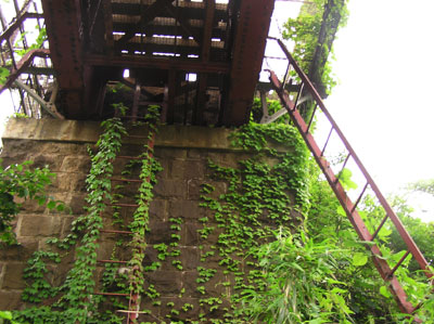 �P���S��