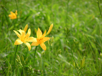 �j�b�R�E�L�X�Q