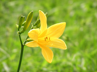 �j�b�R�E�L�X�Q