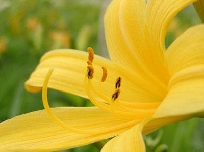 �j�b�R�E�L�X�Q