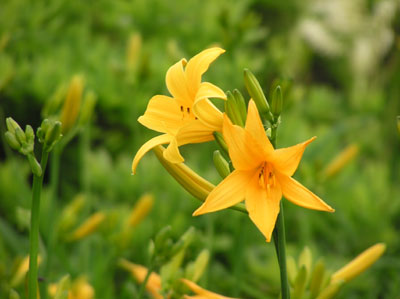 �j�b�R�E�L�X�Q