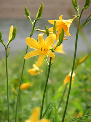 �j�b�R�E�L�X�Q