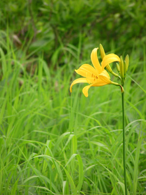 �j�b�R�E�L�X�Q