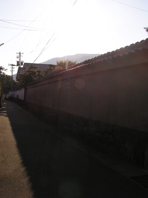 �ɐ����͂炢���ʂ�