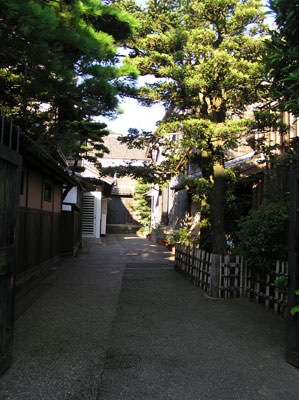 �ɐ����͂炢���ʂ�