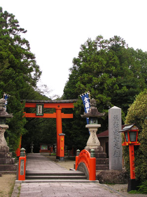 �F�쑬�ʑ��