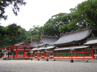 �F�쑬�ʑ��