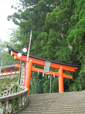 �F��ߒq���