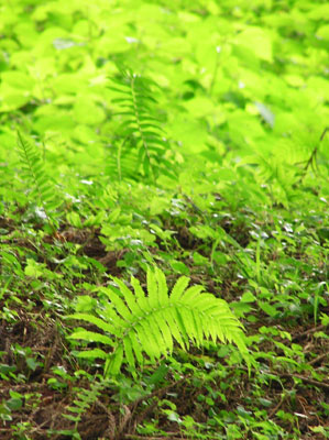 �F��{�{���