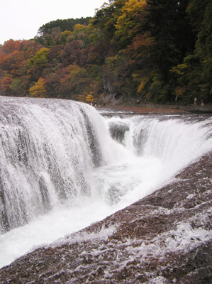 �����̑�