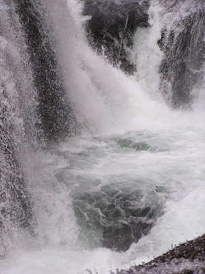 �����̑�