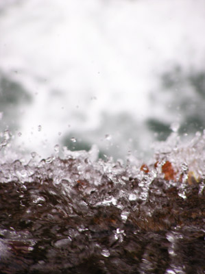 �����̑�