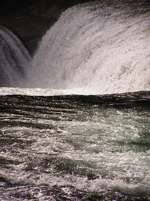 �����̑�