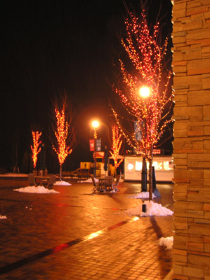 �v���~�A���A�E�g���b�g