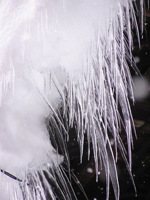 ����̂��