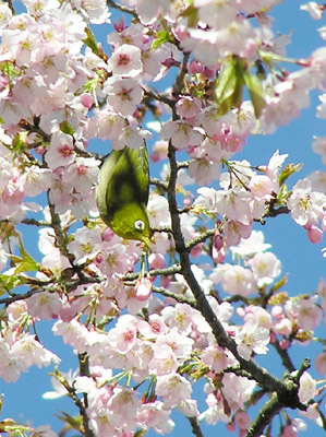 ���W���ƍ�