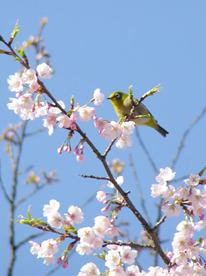 ���W���ƍ�