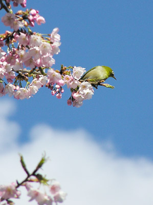 ���W���ƍ�