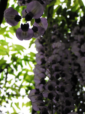 ���������t�����[�p�[�N