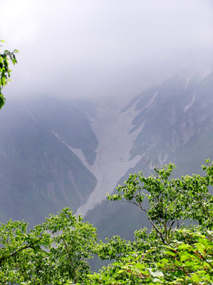 �̒r���R��