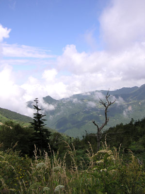 ����-�{��