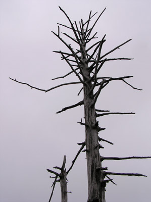 ����-�{��