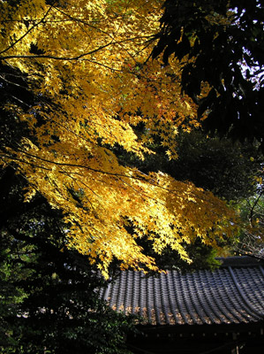 ���R�_��