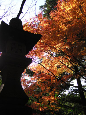 ���R�_��