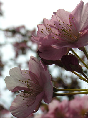 �͒Â�����