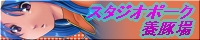 �X�^�W�I�|�[�N�{�؏�