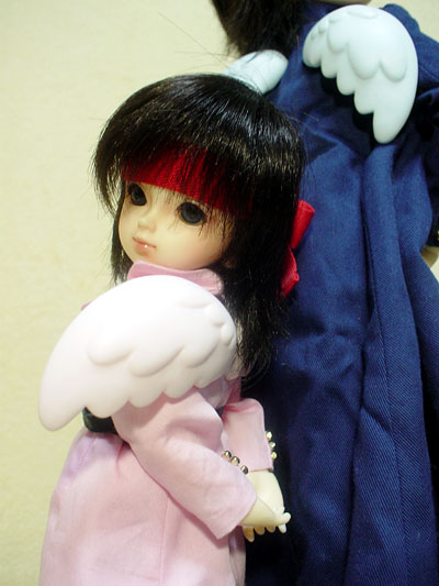 ���̂������x�͕K���{���Ă��铍����