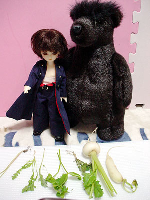 �����A���Ă����񂾂�