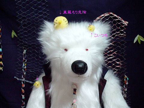 ���ɑ����������Ă���͗l