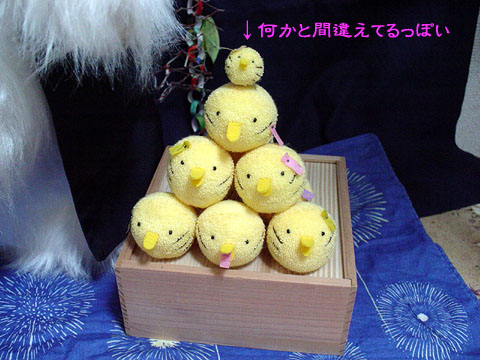 �������H