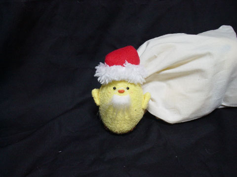 �T���^�Ƒ܁B