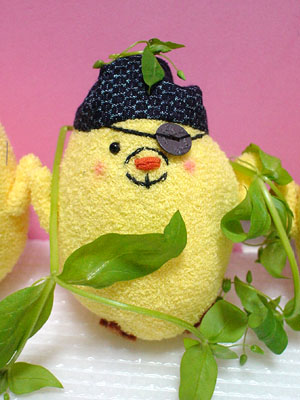 ���~�^��(���Q)