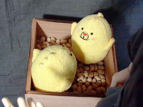 �r���ɕ���J�b�V�[�̍���