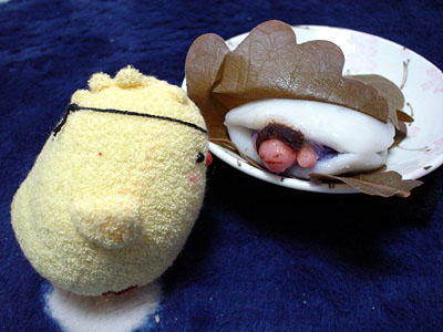 ���؂߁`����